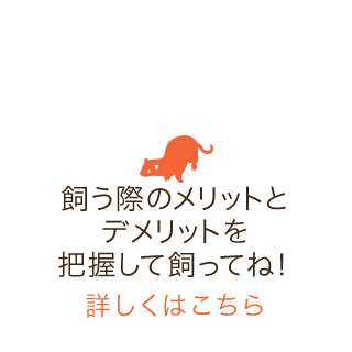 飼う際のメリットとデメリットを把握して飼ってね！