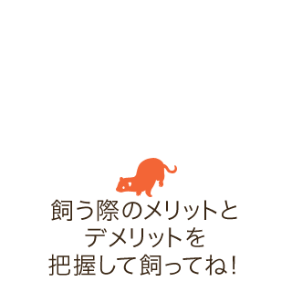 飼う際のメリットとデメリットを把握して飼ってね！