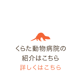くらた動物病院の紹介はこちら