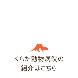 くらた動物病院の紹介はこちら
