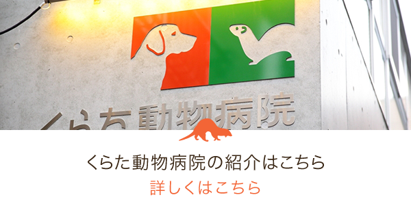 くらた動物病院の紹介はこちら