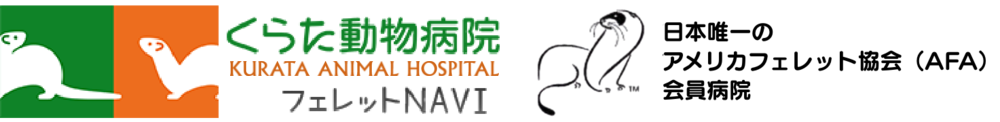 フェレットNAVI くらた動物病院
