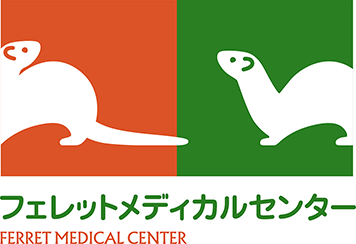 フェレットNAVI くらた動物病院