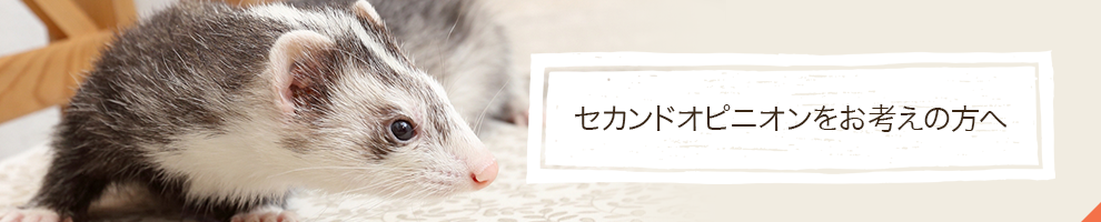 セカンドオピニオンをお考えの方へ
